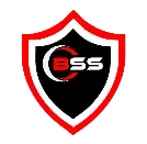 BSS Security